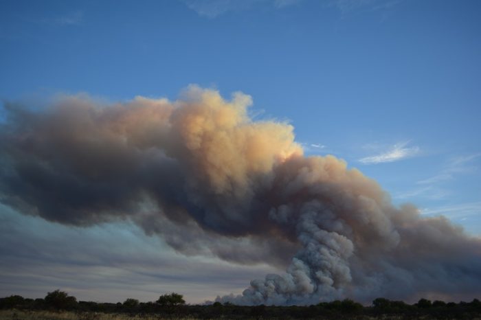 En la región centro, hay casi 3 millones hectáreas en riesgo de incendios