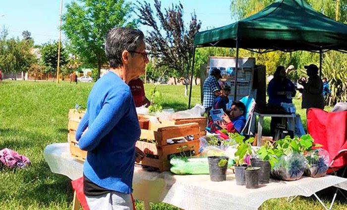 VILLA REGINA: 3º Feria de intercambio de semillas, plantines y saberes