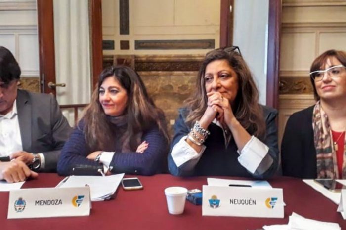 Neuquén participó del Consejo Federal de Zona Franca