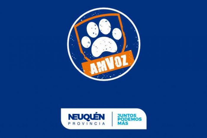 Formularon cargos por maltrato severo contra el cuidador de dos perros