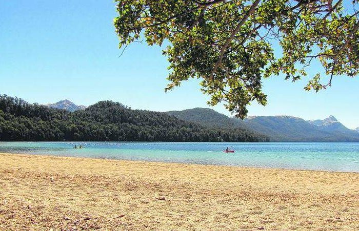 Parque Nacional Nahuel Huapi: "Hay menos alimento para la especie, disminuyó la población de roedores y es el final del proceso"