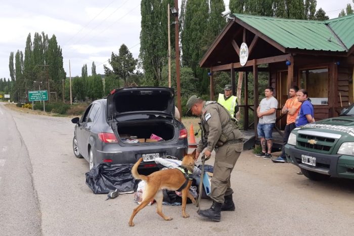 Junín de los Andes: En varios operativos realizados por Gendarmeria nacional se logro detectar e incautar estupefacientes en los ingresos a la localidad