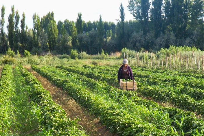 Aprueban 34 nuevos proyectos de productores y emprendedores de la provincia