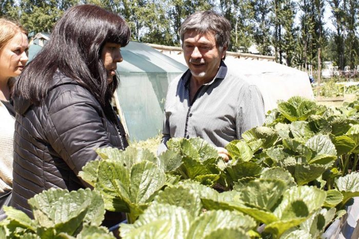 Visita del Consejo Federal de Ciencia y Tecnología a proyectos neuquinos