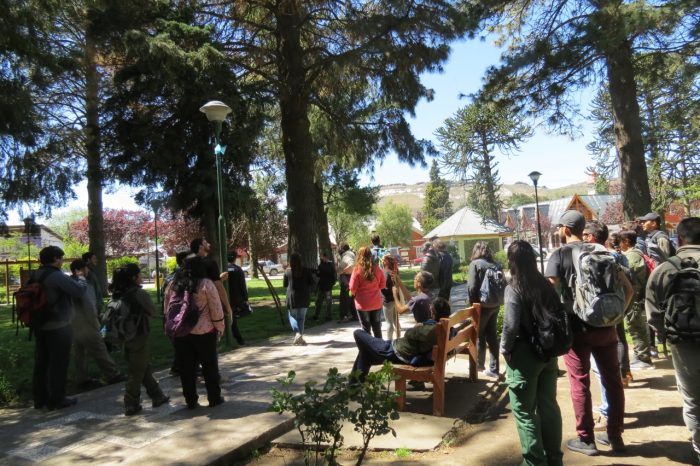 Dictan Curso: "Reconocimiento de Plantas Ornamentales y Forestales"