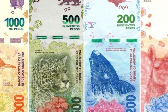 Alberto Fernández admitió que quiere sacar a los animales de los billetes: a quiénes pondría en su lugar