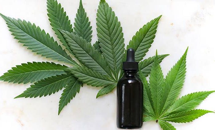 En INTA cultivarán cannabis con fin terapéutico, de investigación, científico y de desarrollo