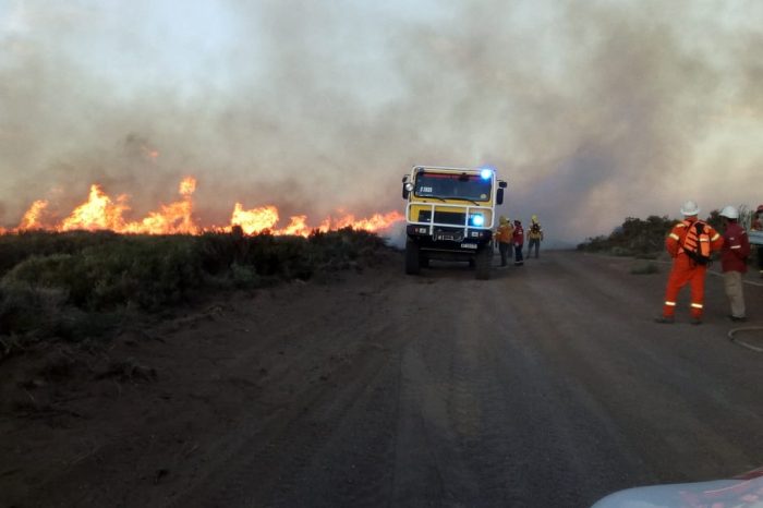 Incendio descontrolado en forestación de COR.FO.NE. en zona Caviahue-Loncopué