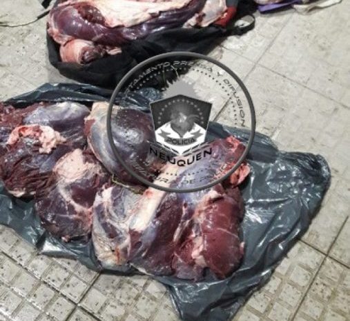 San Martín de los Andes: Dos demoradas y gran cantidad de carne secuestran en un procedimiento