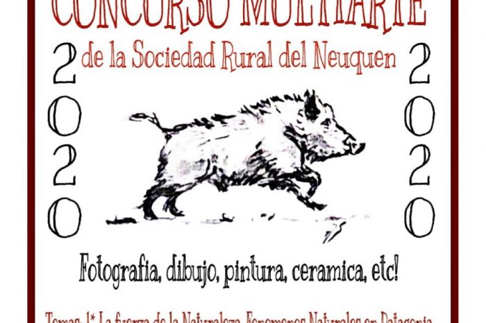 Se lanzó el 2° concurso Multi-Arte 2020 de la Sociedad Rural del Neuquén