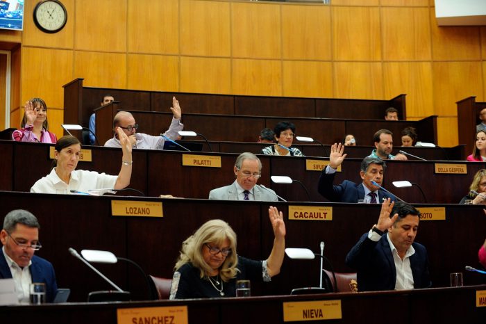 La Cámara debatió y prestó acuerdo al pliego del defensor Seisdedos