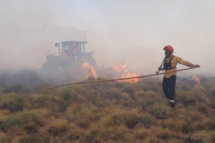 Más de cuatro horas les llevó a los combatientes extinguir el incendio en inmediaciones al Aeropuerto Chapelco