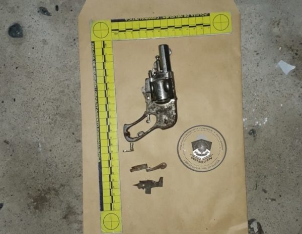 Policía secuestra un arma de fuego, municiones y plantas de Cannabis Sativa en allanamientos