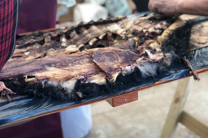 Aluminé: Amplia convocatoria por la fiesta del Asado con cuero