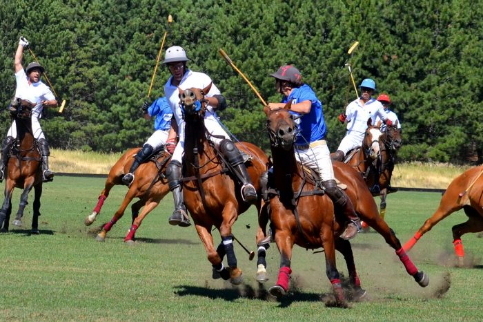 Comenzó esta tarde el Campeonato de Polo de la Expo Rural de Neuquén