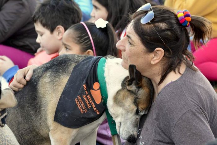 Convocan a participar de las actividades amigables con los animales no humanos