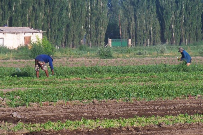 Inició el ciclo de análisis y control de mercadería bajo el sello “Horticultura responsable”