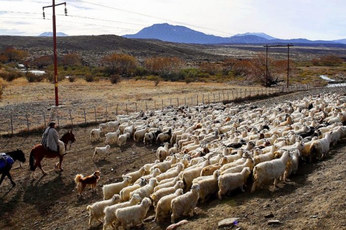 Avanzan en acuerdo territorial de límites de veranadas