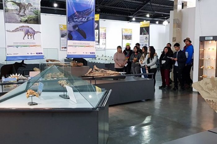 El museo Olsacher de Zapala se posiciona como punto turístico y científico