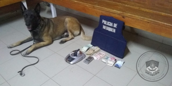 Personal Policial detuvo a un sujeto con estupefacientes en su poder
