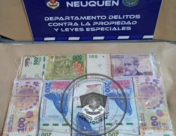 Un demorado, dinero y un automóvil secuestrado en allanamientos