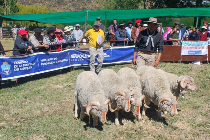 Se viene la feria de productores en Aluminé