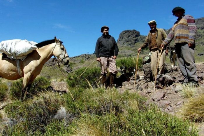Visitas médicas en la zona rural: se atendieron más de 140 personas