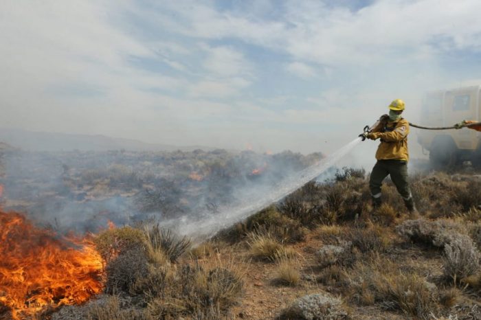 Quedó extinguido el incendio en cercanías de Piedra del Águila