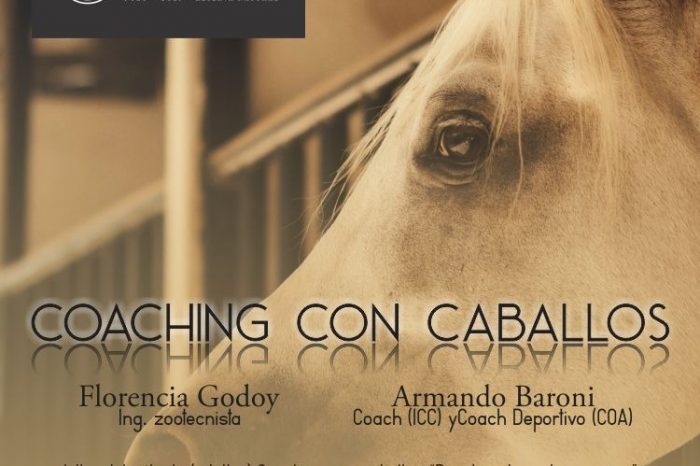 La Manada invita  a un nuevo seminario de Coaching asistido con caballos