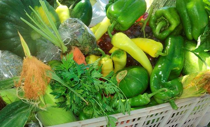 Taller de alimentación saludable en Cipolletti
