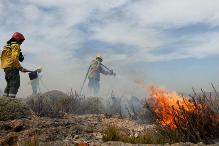 Combaten el fuego en cercanías de Piedra del Aguila