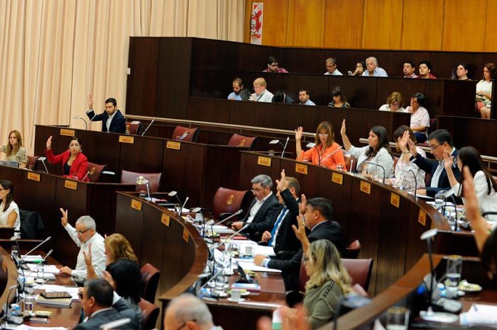 La Cámara se pronunció a favor de los derechos de las mujeres