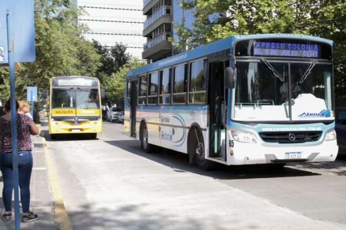 Se podrán renovar on line las habilitaciones de vehículos de pasajeros