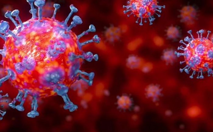 Tres nuevos pacientes recuperados de Coronavirus (COVID-19) en la provincia del Neuquén