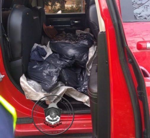 Decomisan unos 200kg de carne vacuna por presunto abigeato en Nahuel Huapi