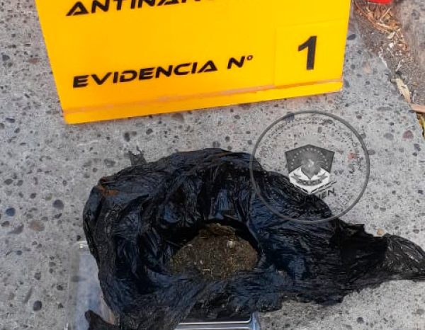 Demoraron a joven desobedeciendo la Cuarentena, con Cannabis Sativa en su poder