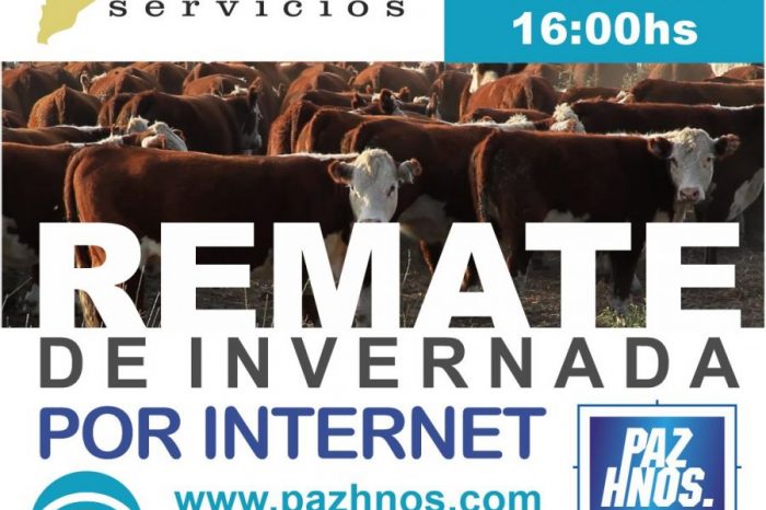 Primer REMATE por Internet de la Patagonia