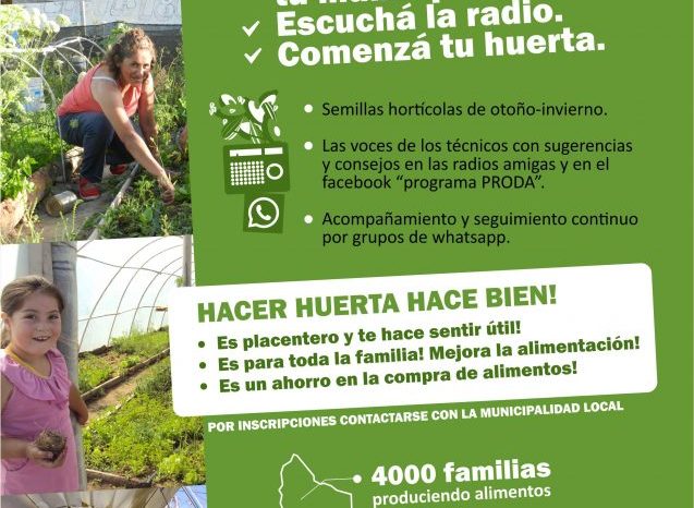 Con capacitación, semillas y seguimiento técnico 4 mil familias de 15 municipios se suman al plan “PRODA en casa”