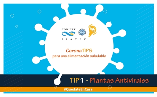 CoronaTIPS: una serie de documentos informativos de base científica elaborados por IPATEC para una cuarentena saludable