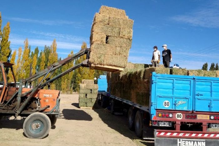 En coordinación con Provincia, intendentes acompañan a pequeños productores con forraje