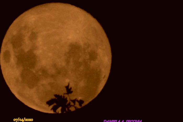 Junín de los Andes: Así se vio anoche la Superluna Rosa