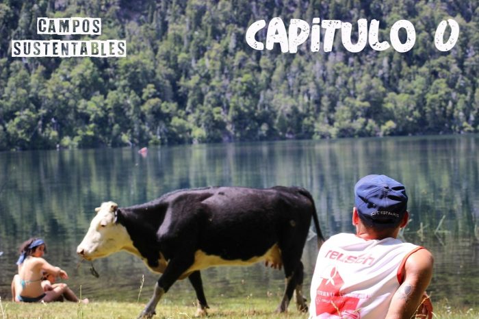 Campos Sustentables: Ambiente, Cultura y Economía en distintas realidades rurales y urbanas