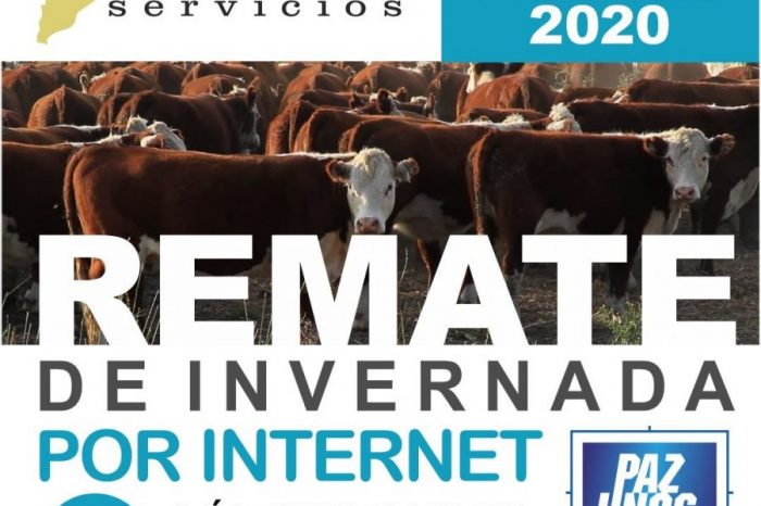 Se viene el primer Remate de hacienda Online de Neuquén