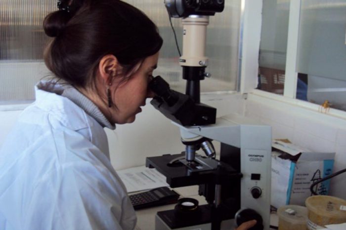 El Laboratorio Central de Neuquén participará de un proyecto federal para la secuenciación de cepas de Covid-19
