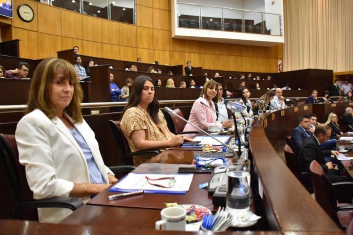 Diputados del MPN avala gestiones de la provincia ante Nación por las PyMES petroleras