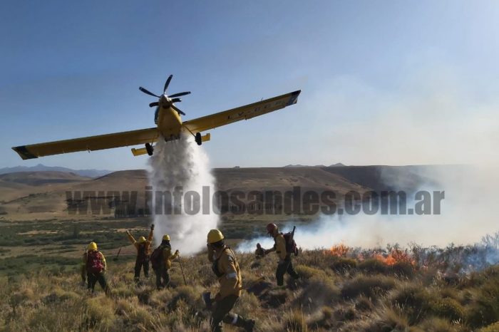 Hoy se conmemora el "Día Internacional de Combatientes de Incendios Forestales"