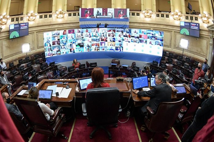 El Senado se dispone a debatir de manera virtual por primera vez en su historia