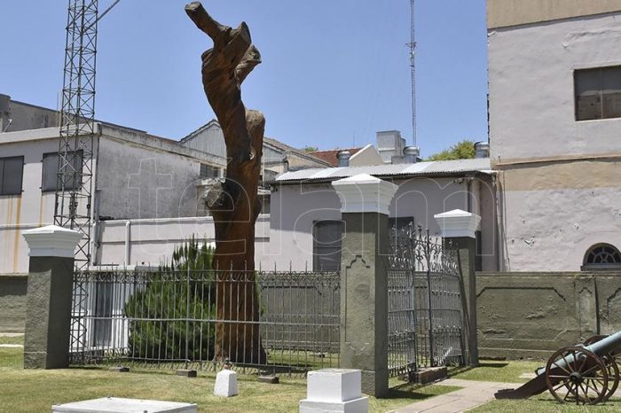 Trabajos de preservación en el pino en cuya sombra descansó el general San Martín