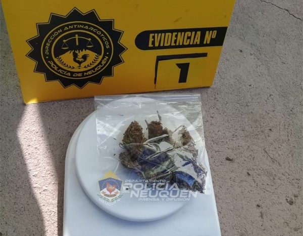 Centenario: Demoran a un joven con estupefacientes en su poder