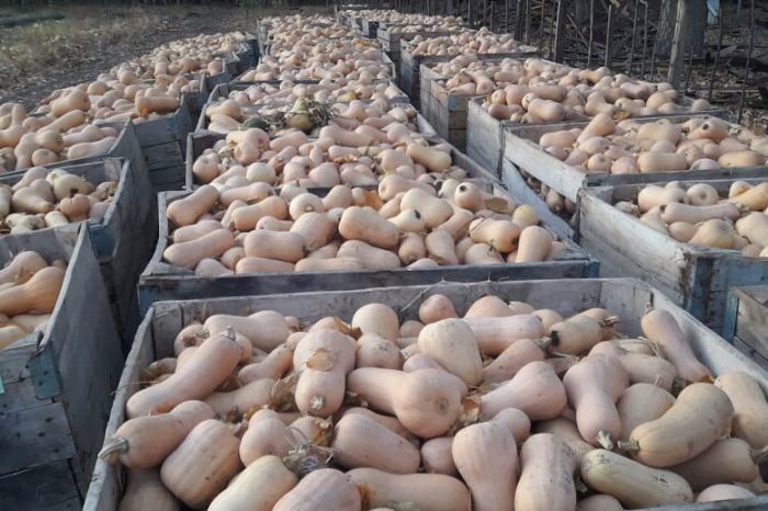 Fortalecen módulos alimentarios con producción del CFPA N° 1